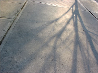 Tree shadow on sidewalk. 5th Avenue Southwest, Calgary. 24 April 2002. Copyright © 2002 Grant Hutchinson