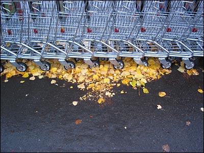 Shopping carts and leaves in parking lot. Lake Bonavista Promenade, Calgary. 04 October 2002. Copyright © 2002 Grant Hutchinson