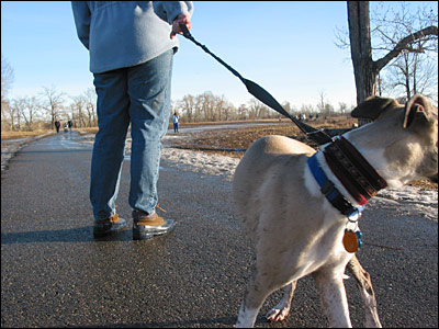 Walking the dog. Near Carburn Park, Calgary. 05 January 2003. Copyright © 2003 Grant Hutchinson