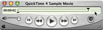 QuickTime 5 Preview Window — Controls Hidden